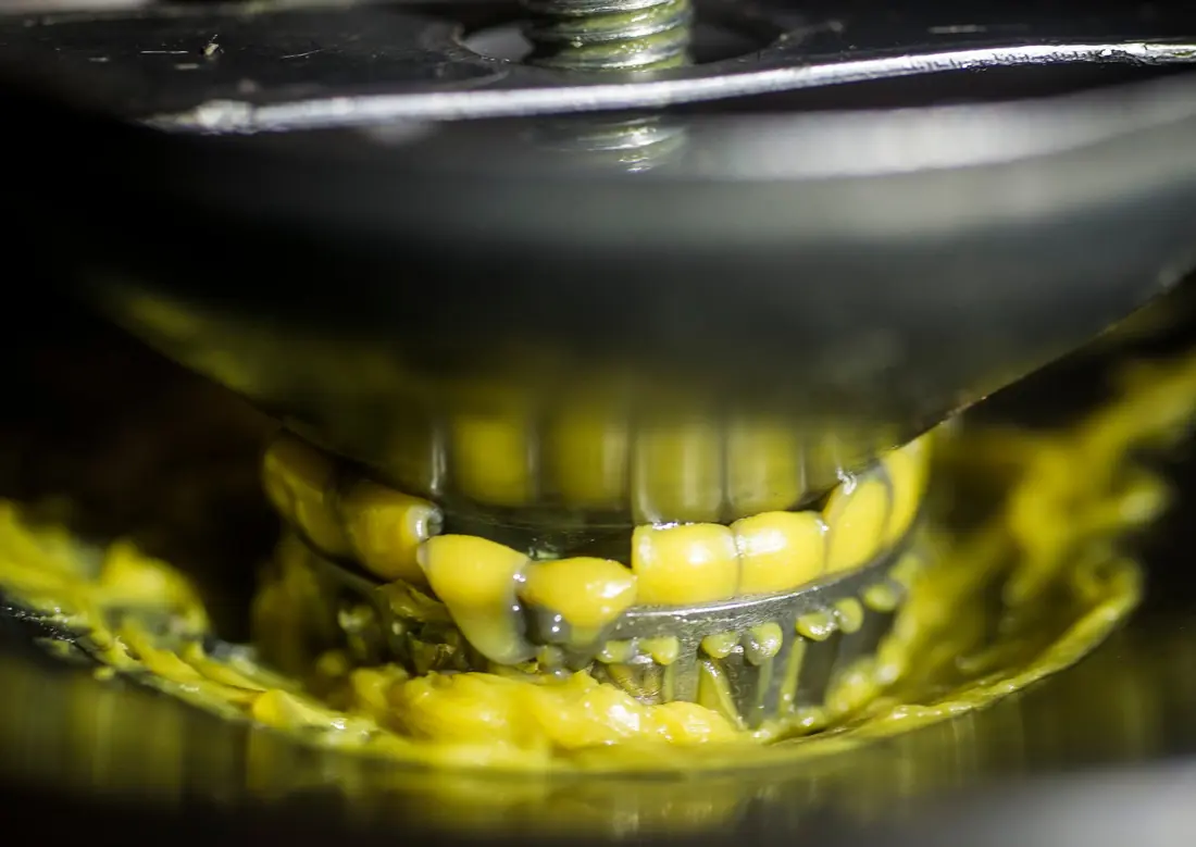 Close-up of a tapered roller bearing in a packing tool, with yellow grease pushed up between its rollers.